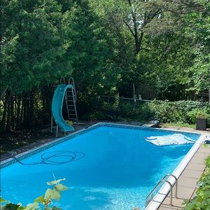 Meet your Posher, Bernadette